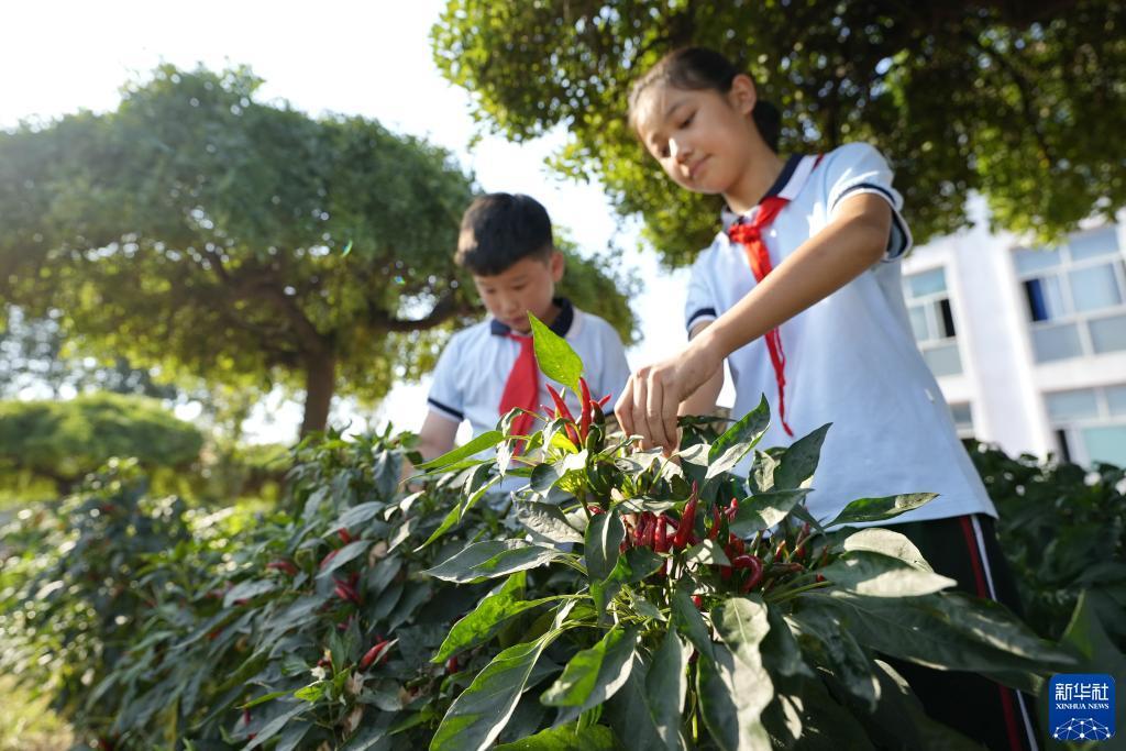 bv伟德国际
